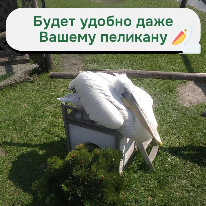 Домик для кошки Вальди из массива сосны, белый — фото 7